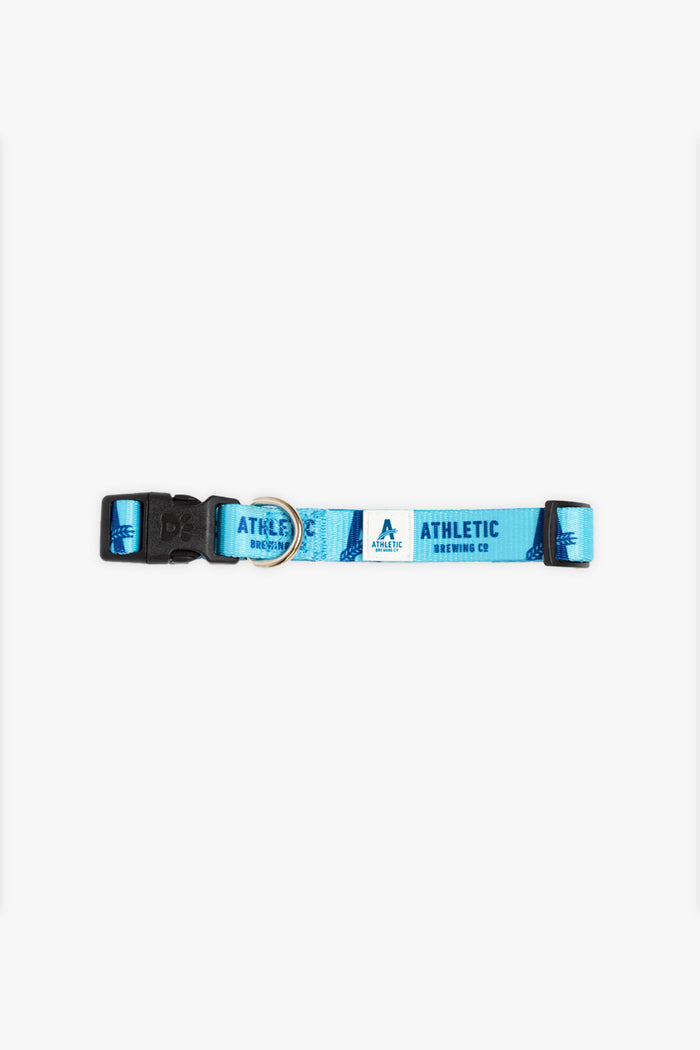 dog collar in blue athletic brewing co