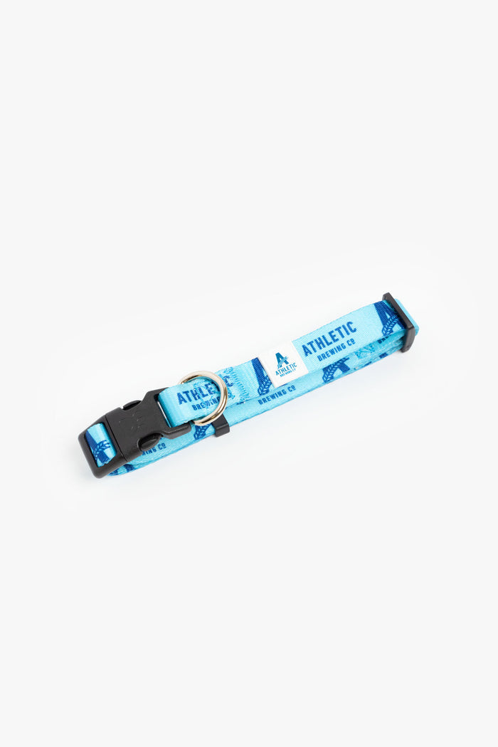 dog collar in blue athletic brewing co