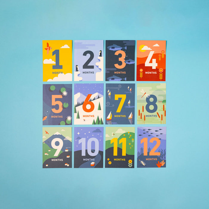 baby 12 months milestone cards with belly band