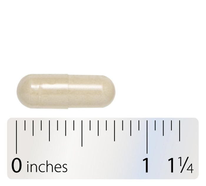 Integrative Therapeutics Similase GFCF Capsule