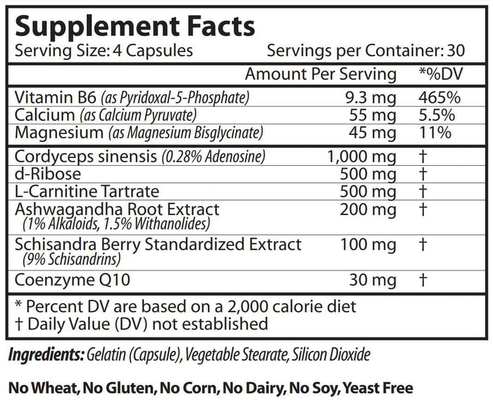 Vinco Energy Ignitor with Cordyceps Ingredients