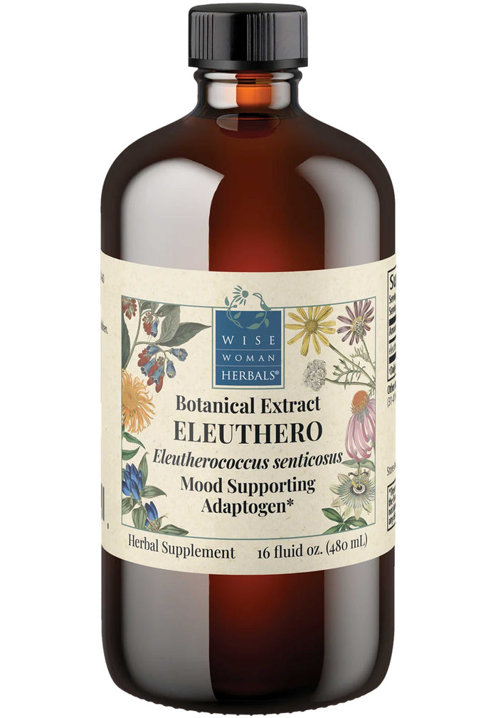 Wise Woman Herbals Eleuthero (Eleutherococcus senticosus)