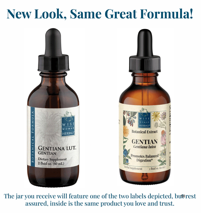 Wise Woman Herbals Gentian (Gentiana lutea) New Look