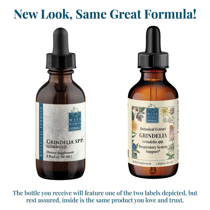 Wise Woman Herbals Grindelia (Grindelia spp.) New Look